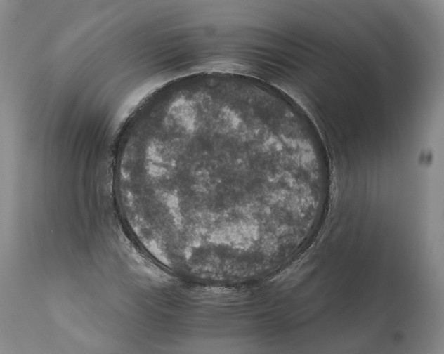 X0000110891115200907161519