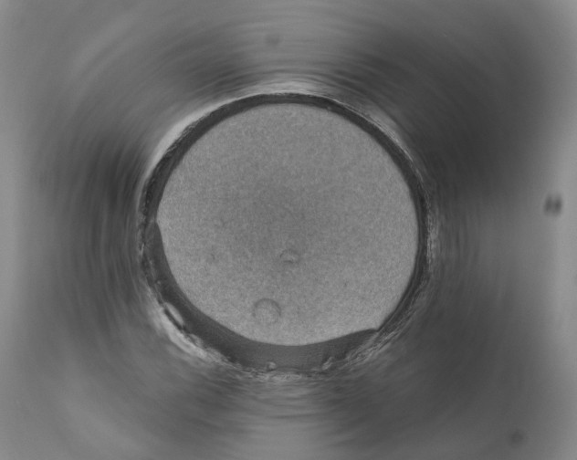 X0000110891116200907161519