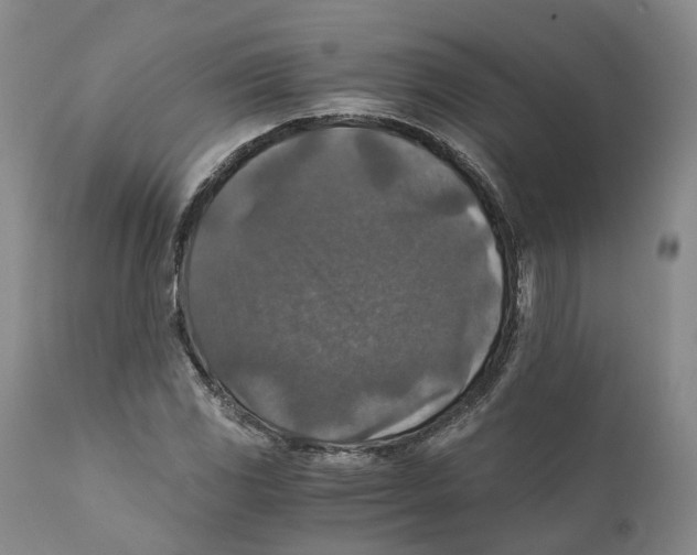 X0000110891117200907161519