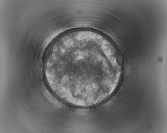 X0000110891118200907161519