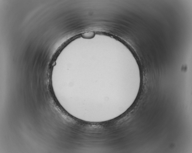 X0000110891119200907161519