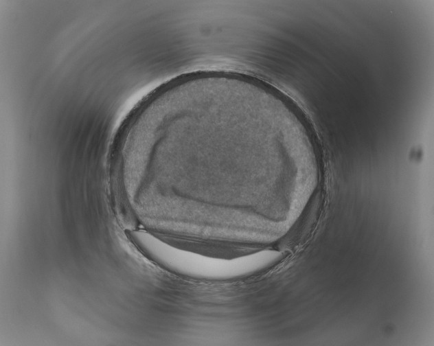 X0000110891120200907161519