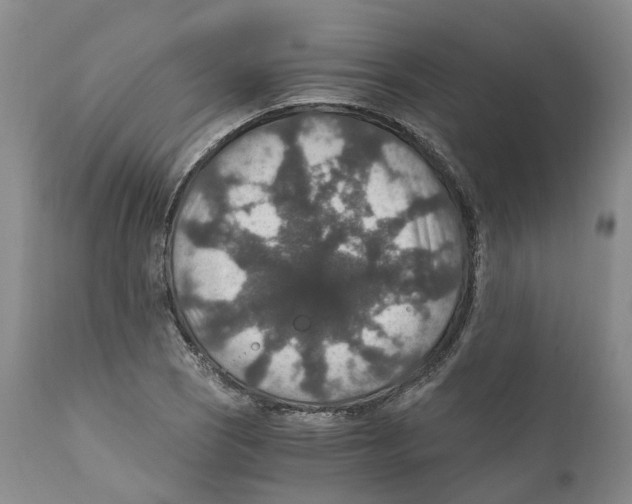 X0000110891121200907161519