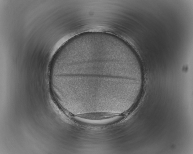 X0000110891122200907161519