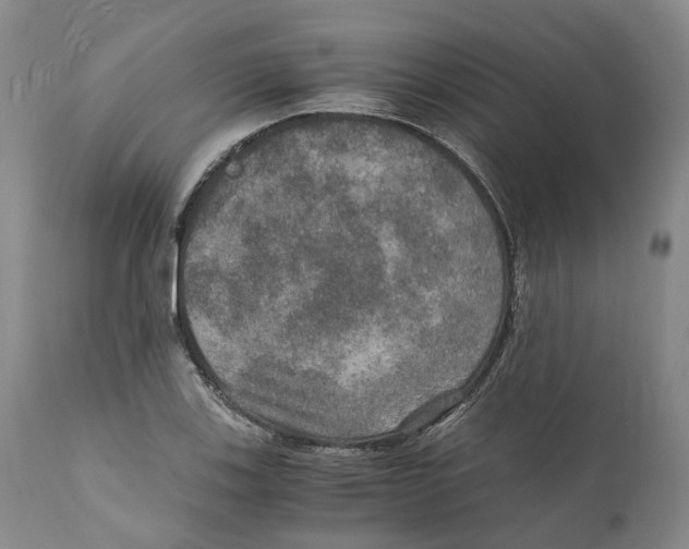 X0000110891123200907161519