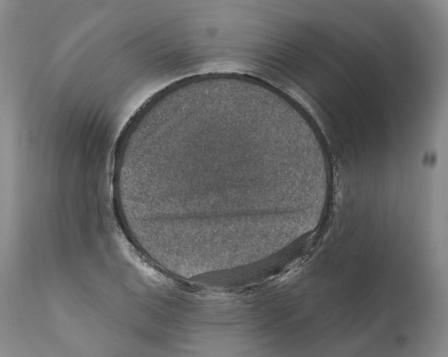 X0000110891124200907161519