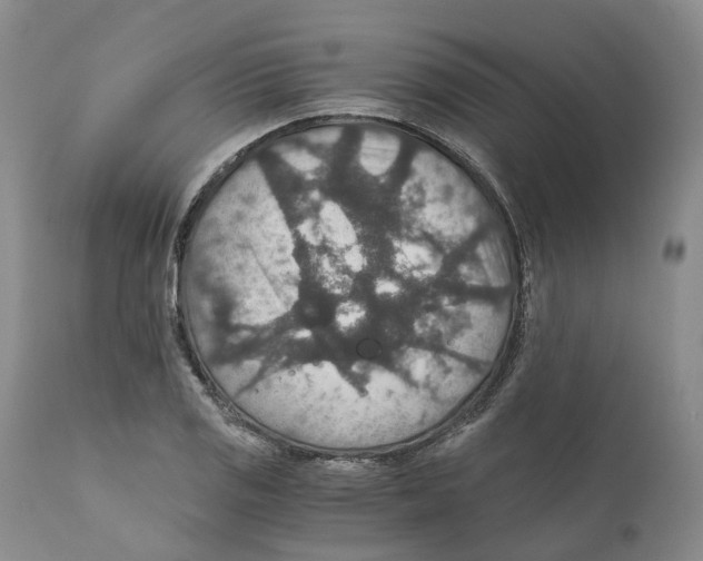 X0000110891125200907161519