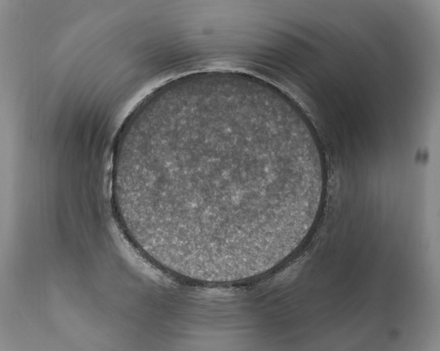 X0000110891126200907161519