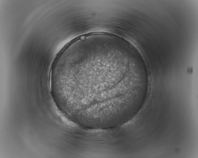 X0000110891127200907161519