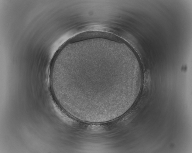 X0000110891128200907161519