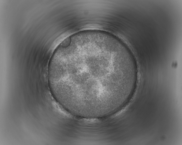 X0000110891129200907161519