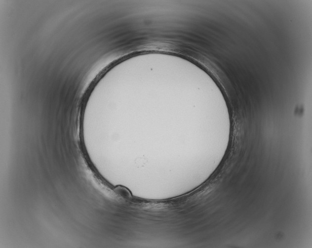 X0000110891131200907161519