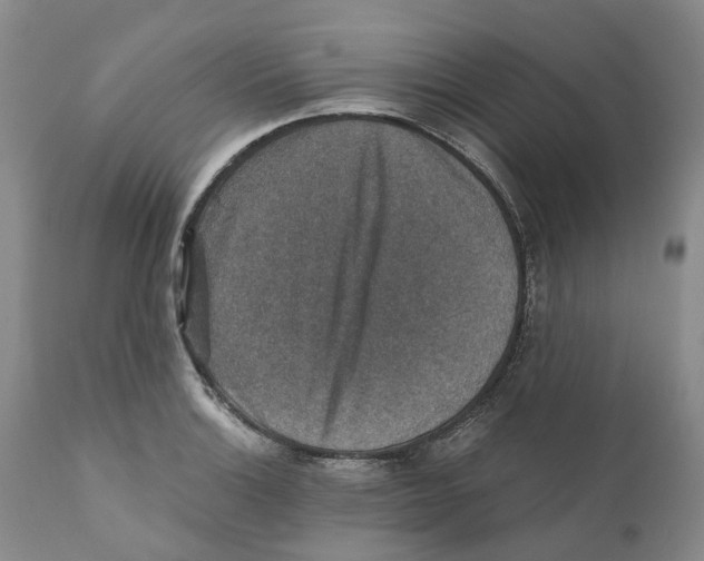 X0000110891132200907161519