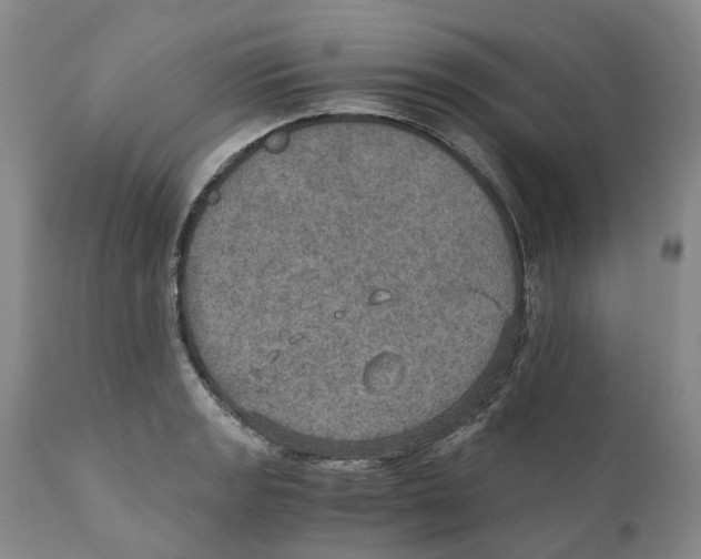 X0000110891133200907161519