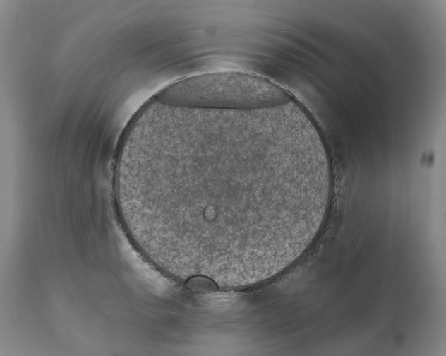 X0000110891134200907161519