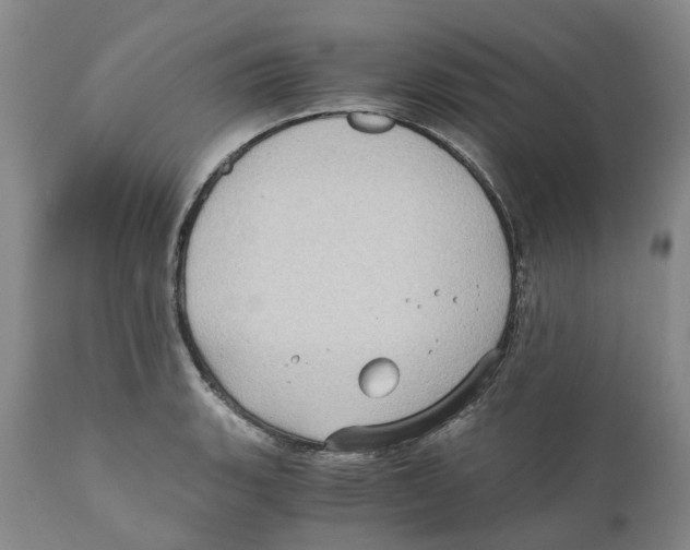 X0000110891135200907161519