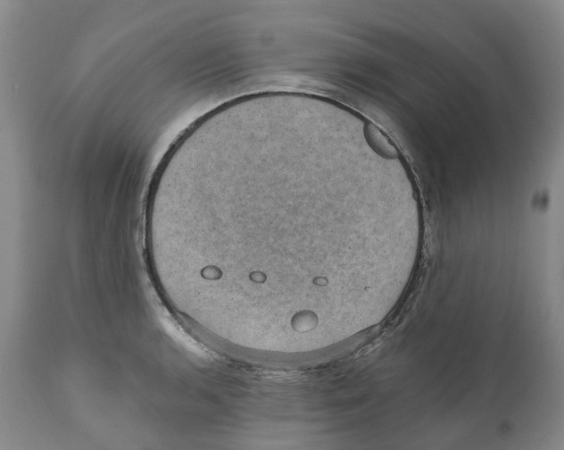 X0000110891136200907161520