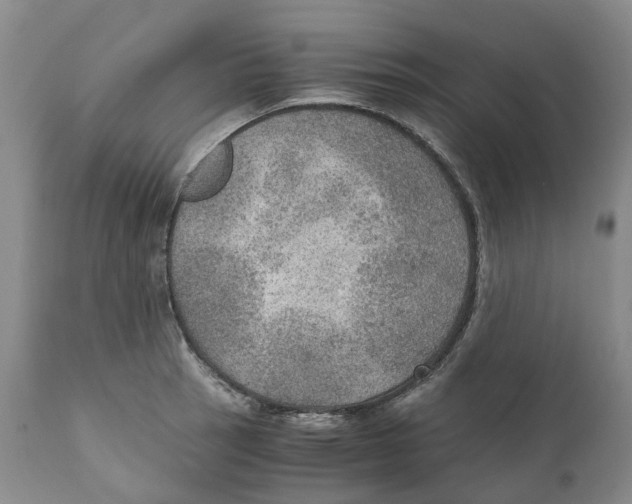 X0000110891137200907161520