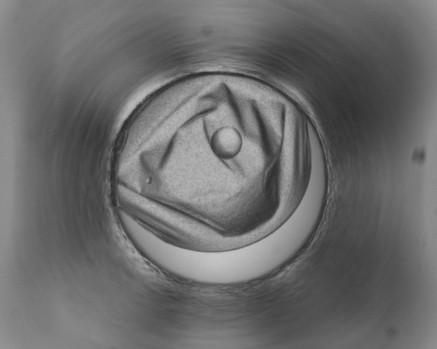 X0000110891138200907161520