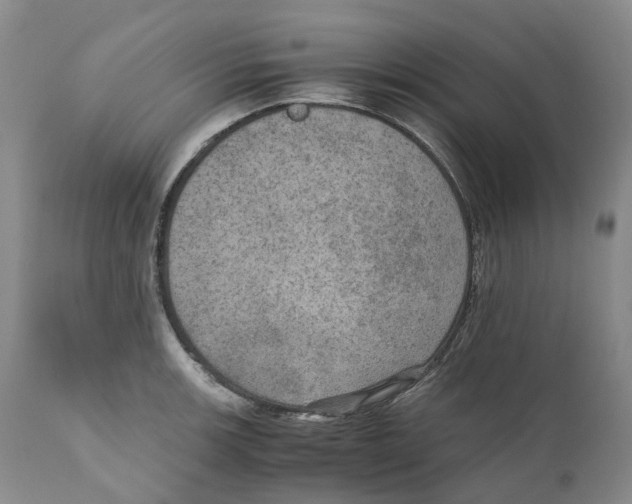 X0000110891139200907161520