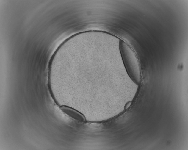 X0000110891140200907161520