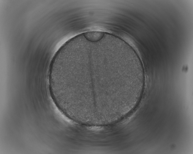 X0000110891141200907161520