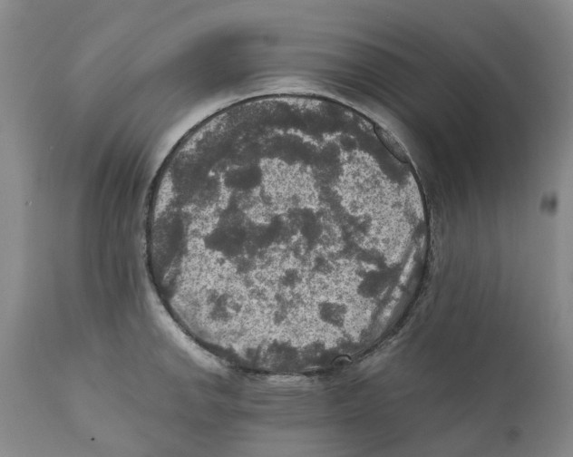 X0000110891142200907161520