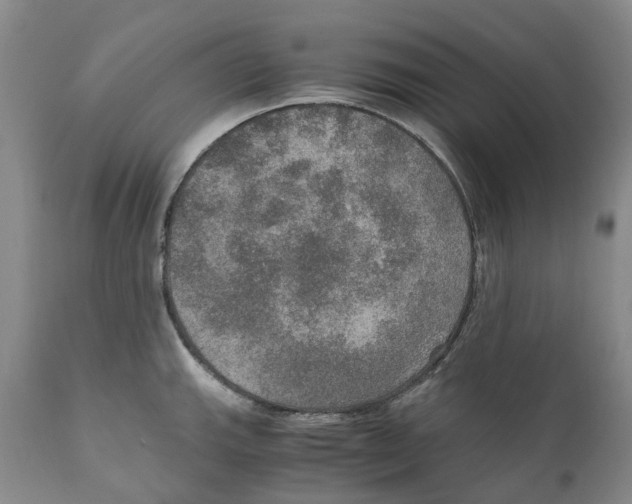 X0000110891143200907161520