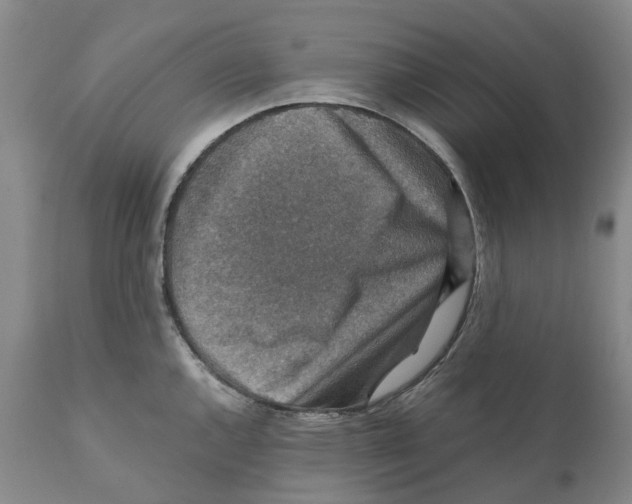 X0000110891144200907161520