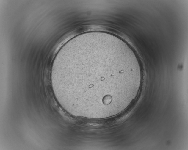 X0000110891145200907161520