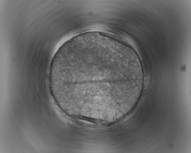 X0000110891146200907161520