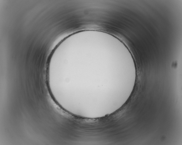 X0000110891147200907161520