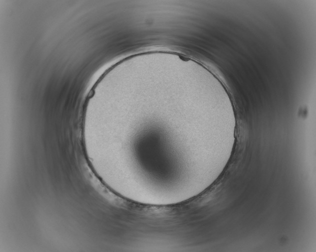 X0000110891148200907161520