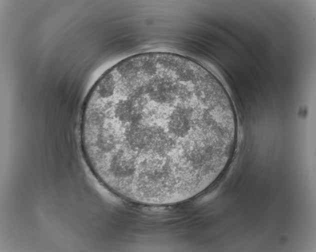 X0000110891149200907161520