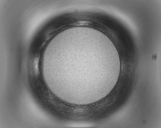 X0000110891150200907161520