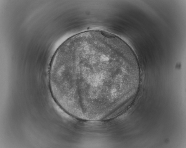 X0000110891151200907161520