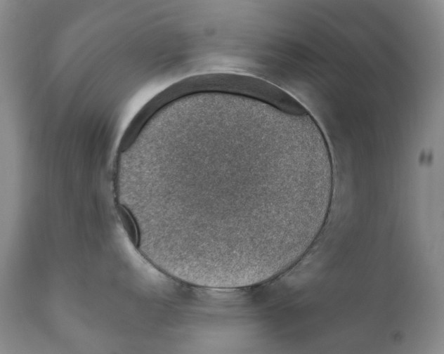 X0000110891152200907161520