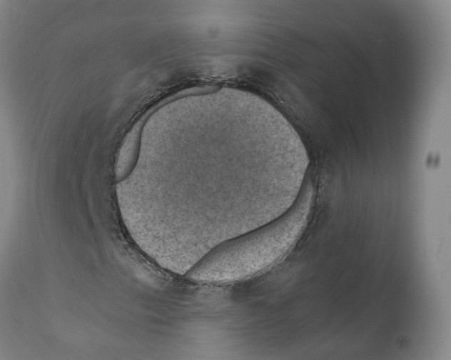 X0000110891153200907161519