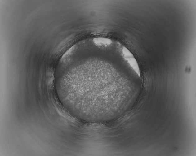 X0000110891154200907161519