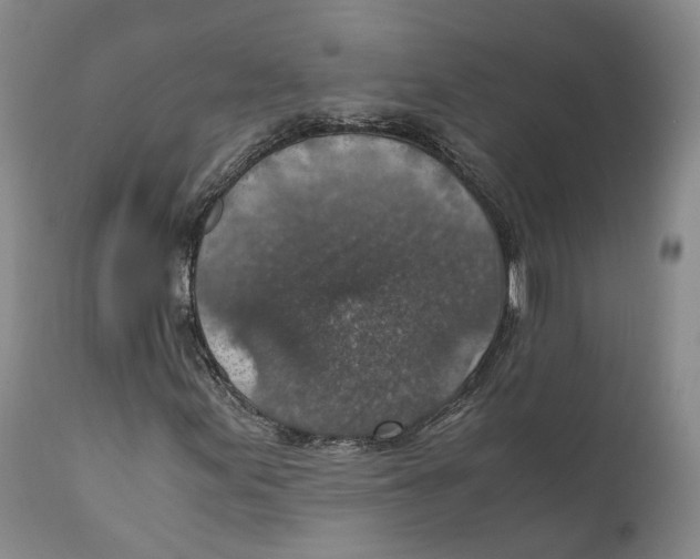 X0000110891155200907161519