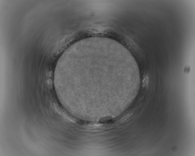 X0000110891156200907161519