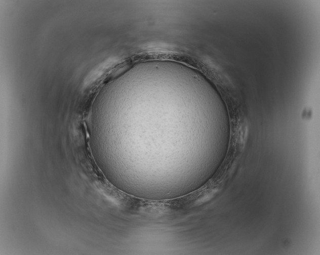 X0000110891157200907161519