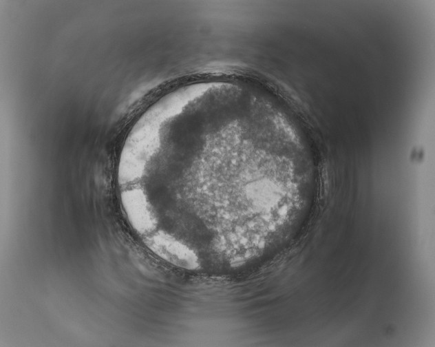 X0000110891158200907161519