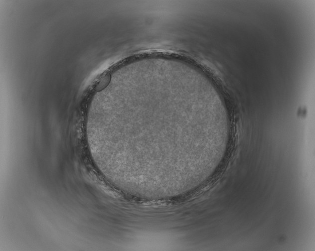 X0000110891159200907161519