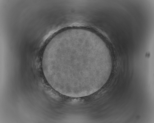 X0000110891160200907161519