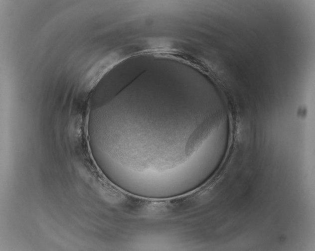 X0000110891161200907161519