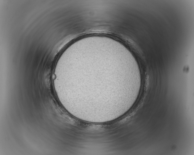 X0000110891162200907161519