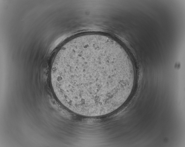 X0000110891163200907161519