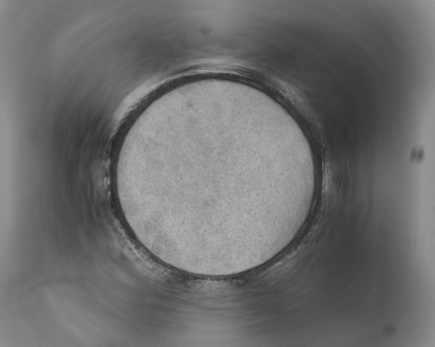 X0000110891164200907161519