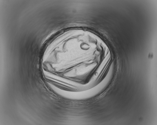 X0000110891165200907161519